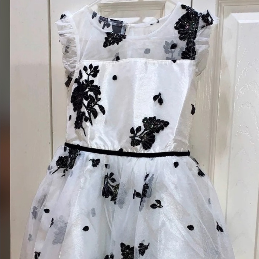 NWT girl’s dress